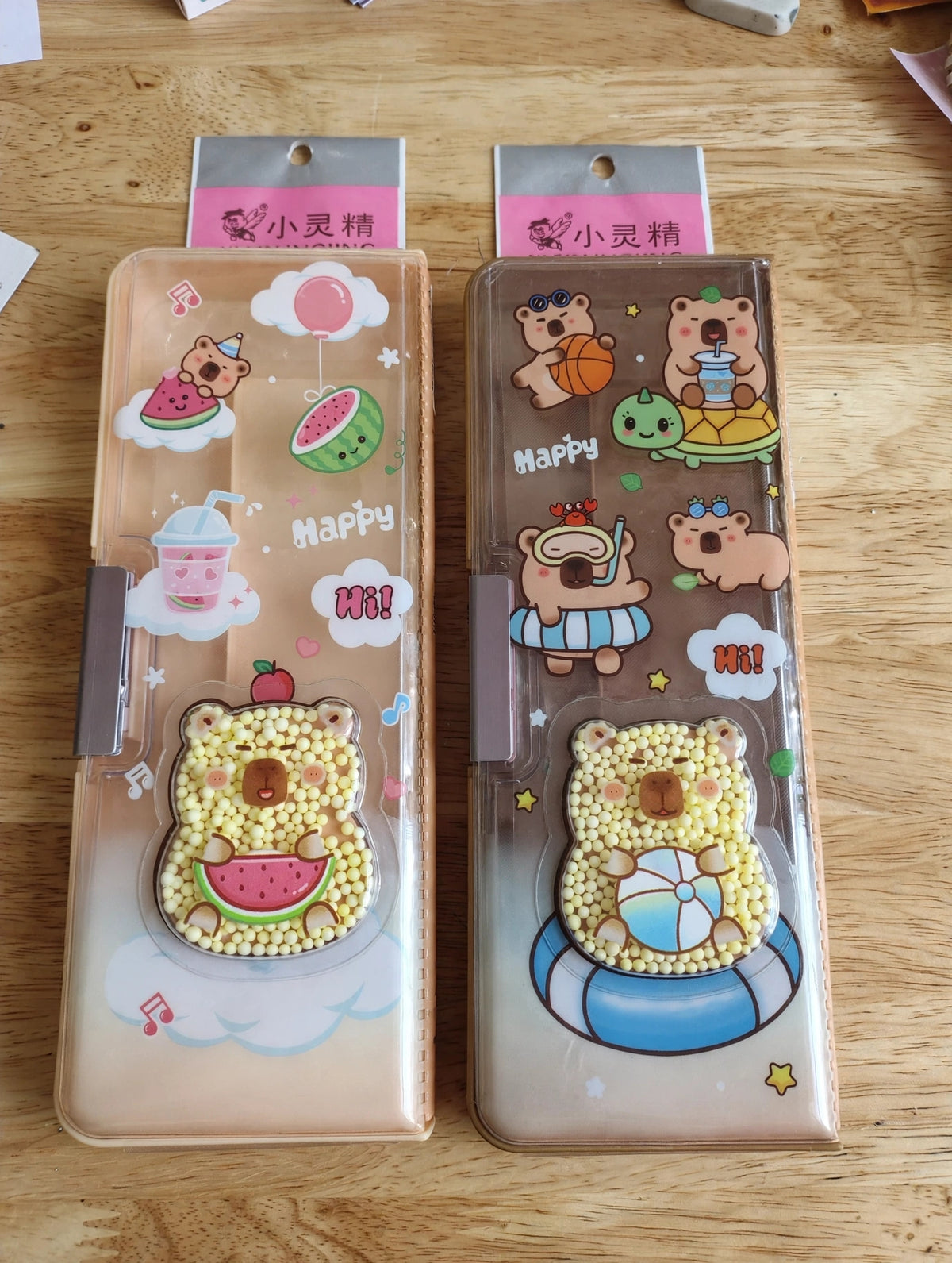 Capybara transparent box